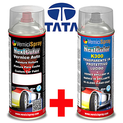 Kit pintura coche TATA ARIA