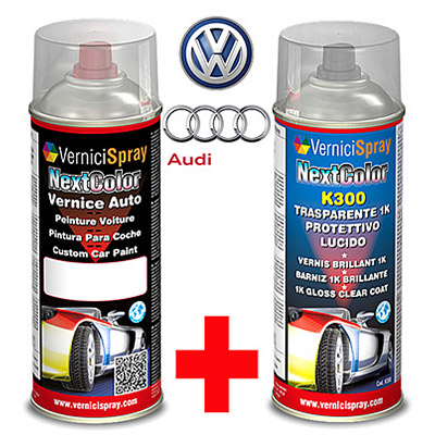 Kit pintura coche AUDI / VOLKSWAGEN A6/S6