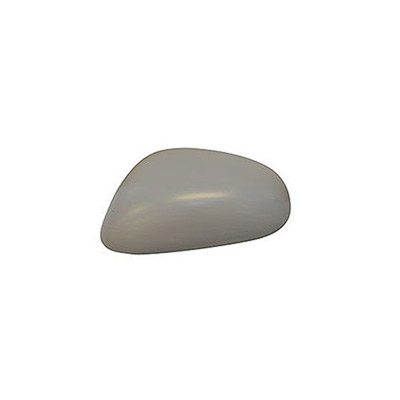 Cubierta Espejo Retrovisor exterior izquierda