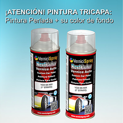 Pintura Coche Spray SUBARU LEGACY