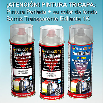 Kit pintura coche FIAT 500