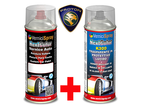 Kit pintura coche PROTON 313