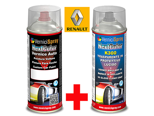 Kit pintura coche RENAULT SAFRANE