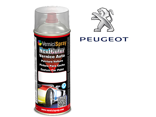 Pintura Coche Spray PEUGEOT 308