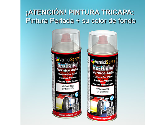 Pintura Coche Spray SUBARU LEGACY