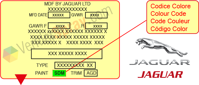 Encuentra el código de color Jaguar