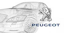 Pintar por Código de Color de la marca - PEUGEOT - 1007